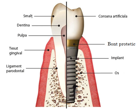 INTELIDENT | Clinica stomatologica